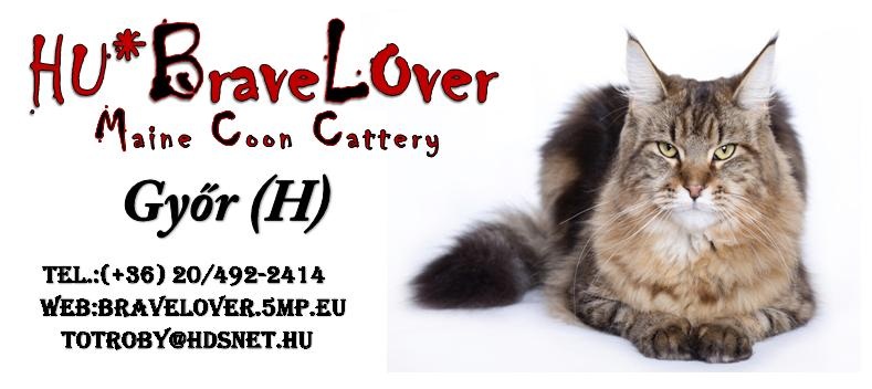 HU* Bravelover Cattery