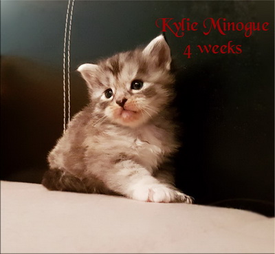 KylieMinogue4weeks