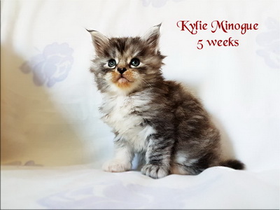 KylieMinogue5weeks