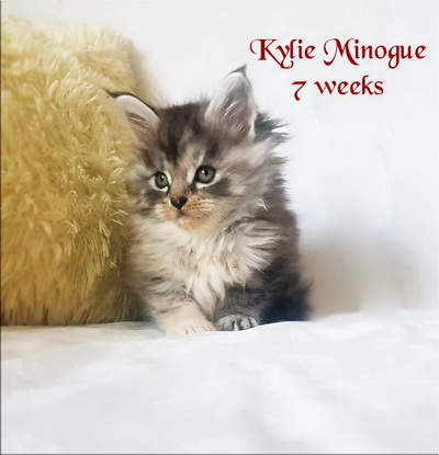 KylieMinogue7weeks