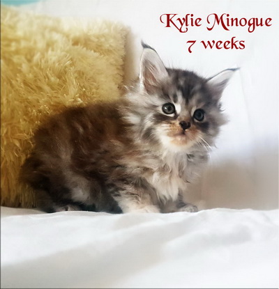 KylieMinogue7weeks