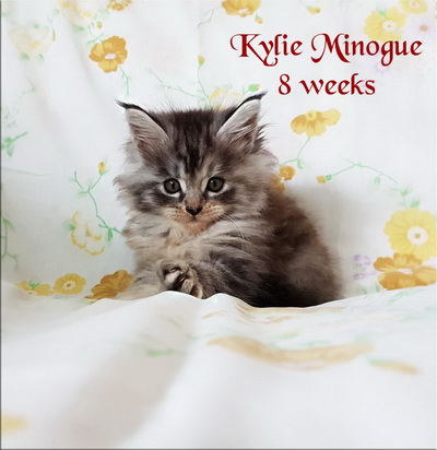 KylieMinogue8 weeks